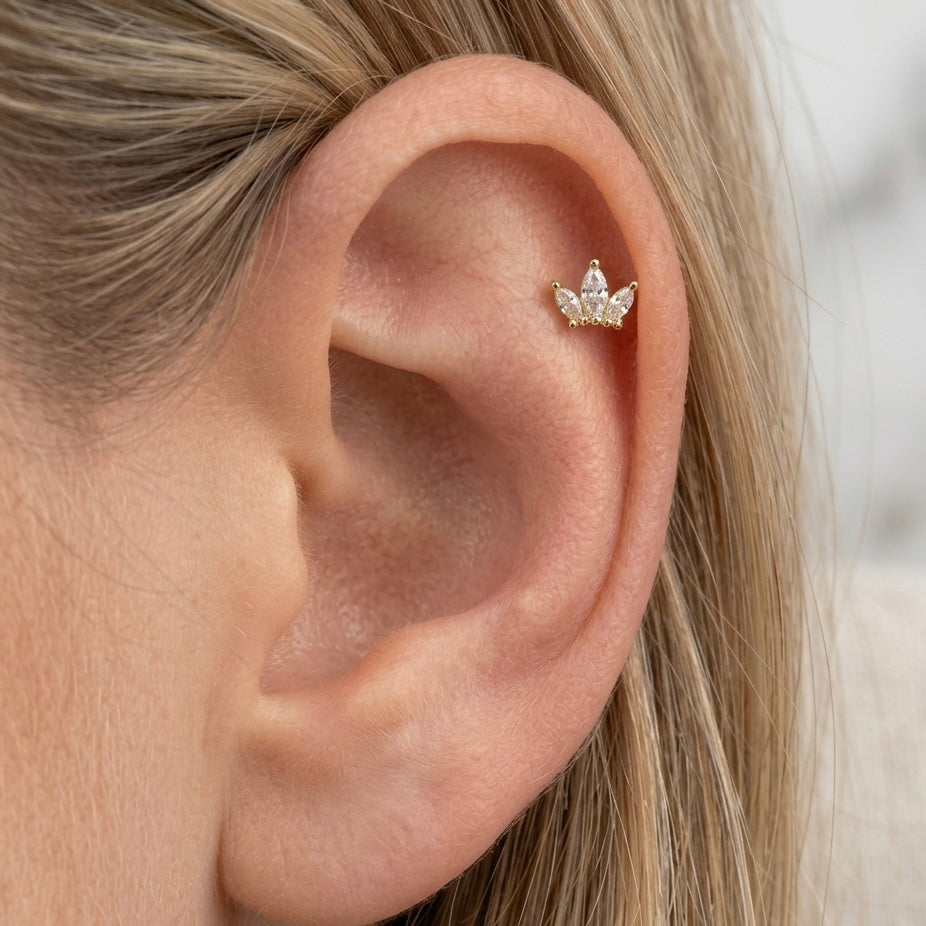 PIERCING ROYAL LOTUS