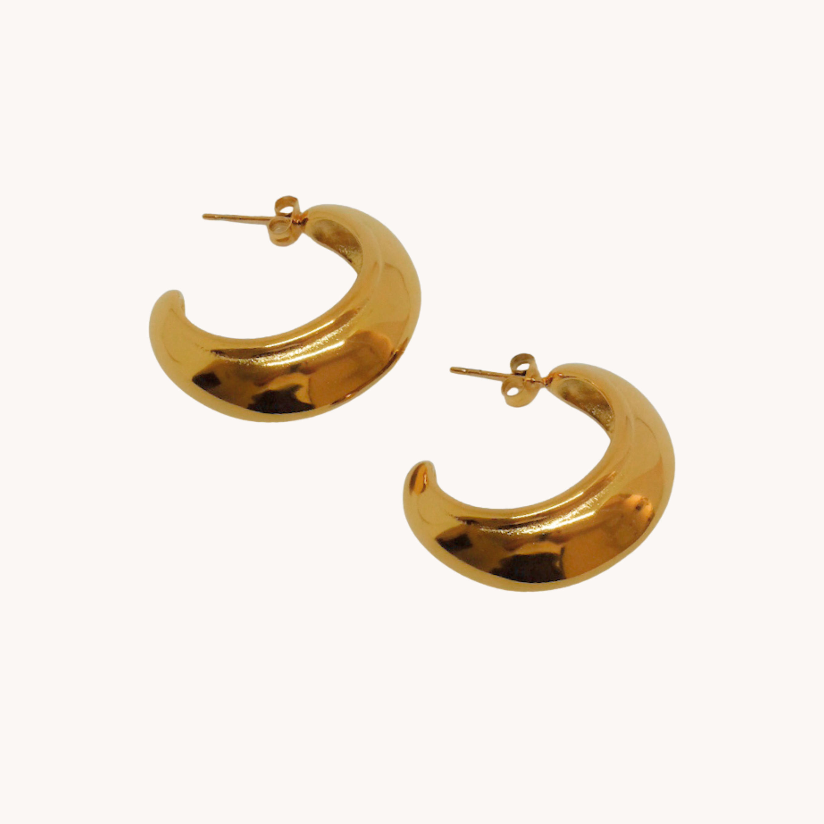 COPPIA ORECCHINI CERCHI