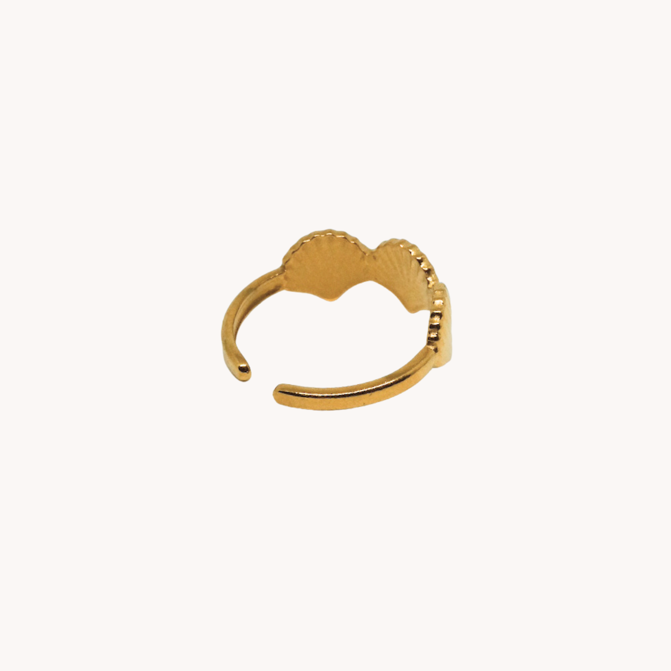 ANELLO CONCHIGLIE