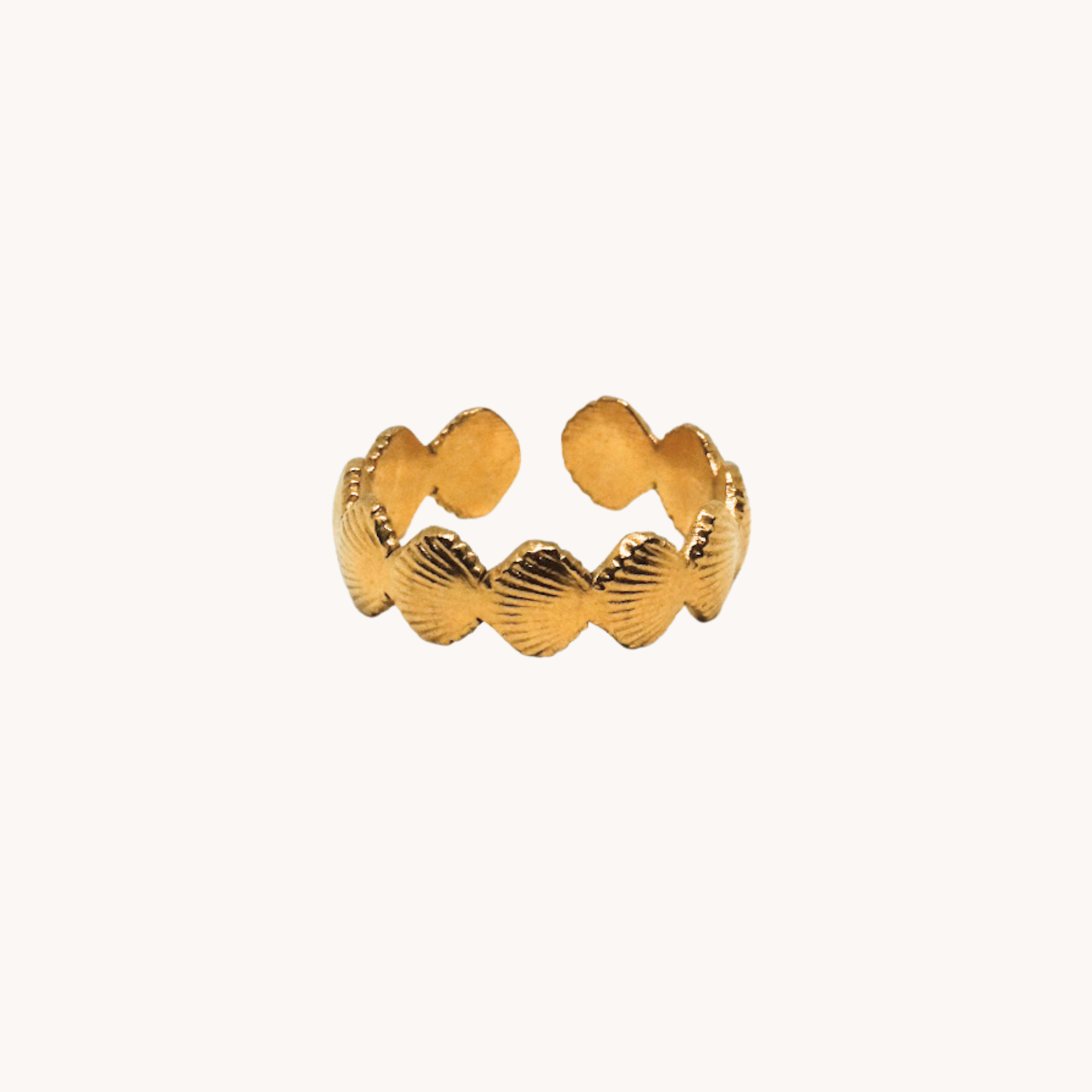 ANELLO CONCHIGLIE