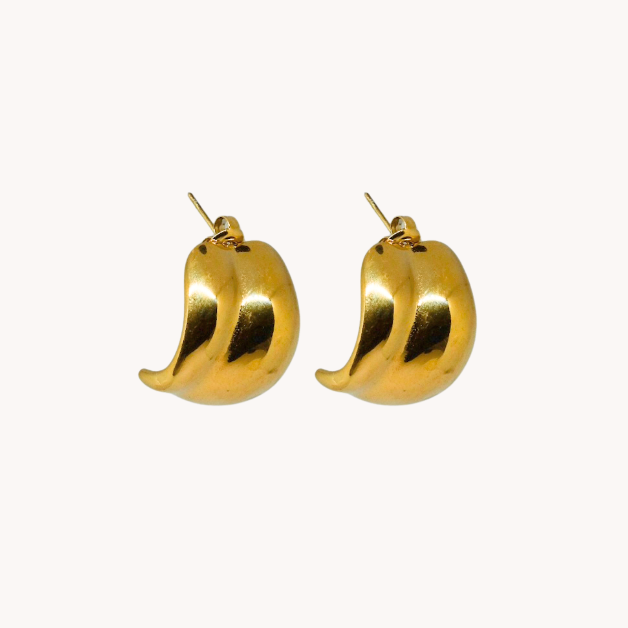 COPPIA ORECCHINI CERCHI