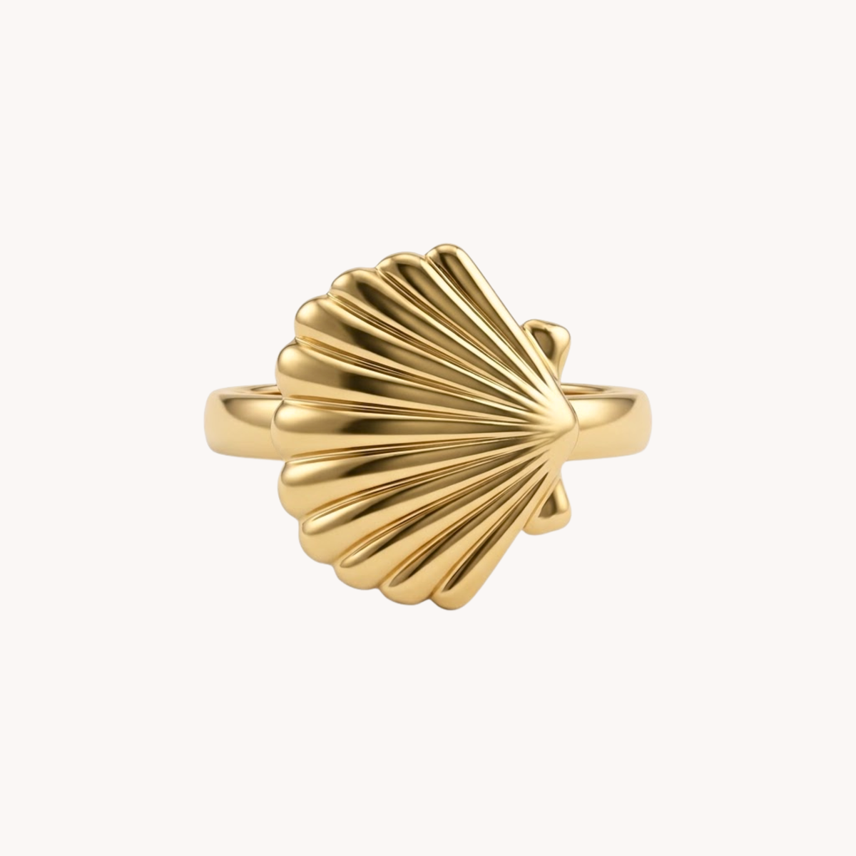 ANELLO SHELL