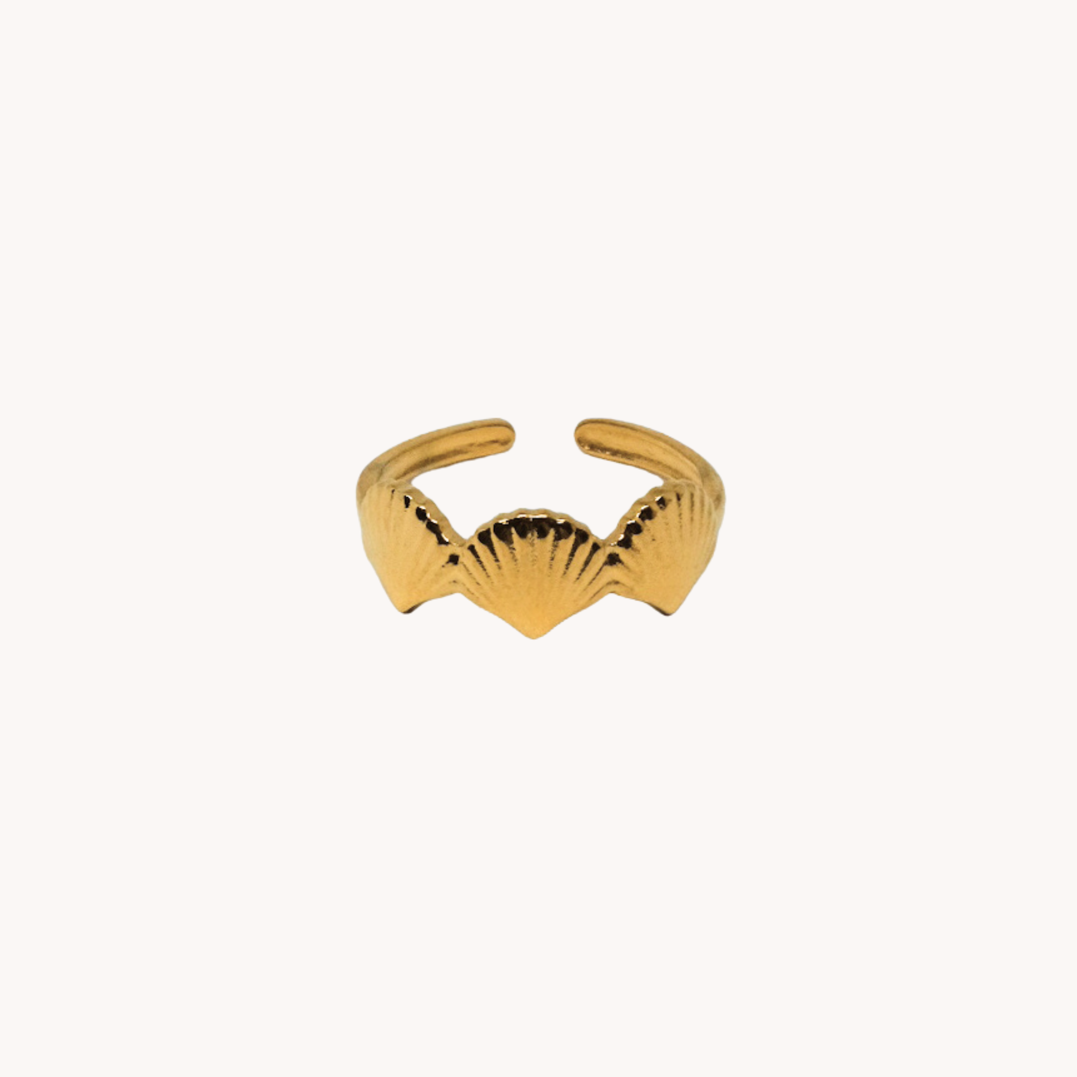 ANELLO CONCHIGLIE