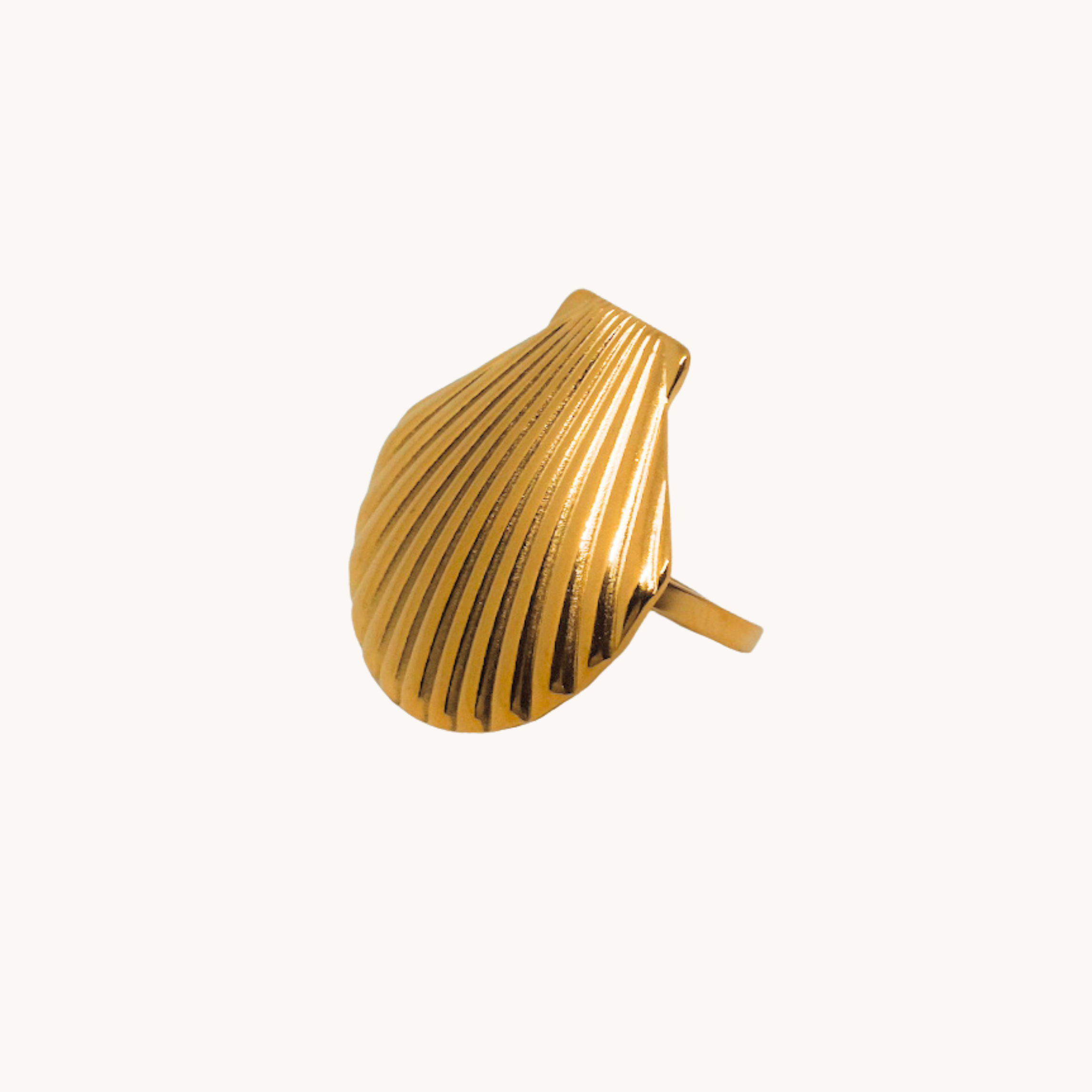 ANELLO CONCHIGLIA GRANDE