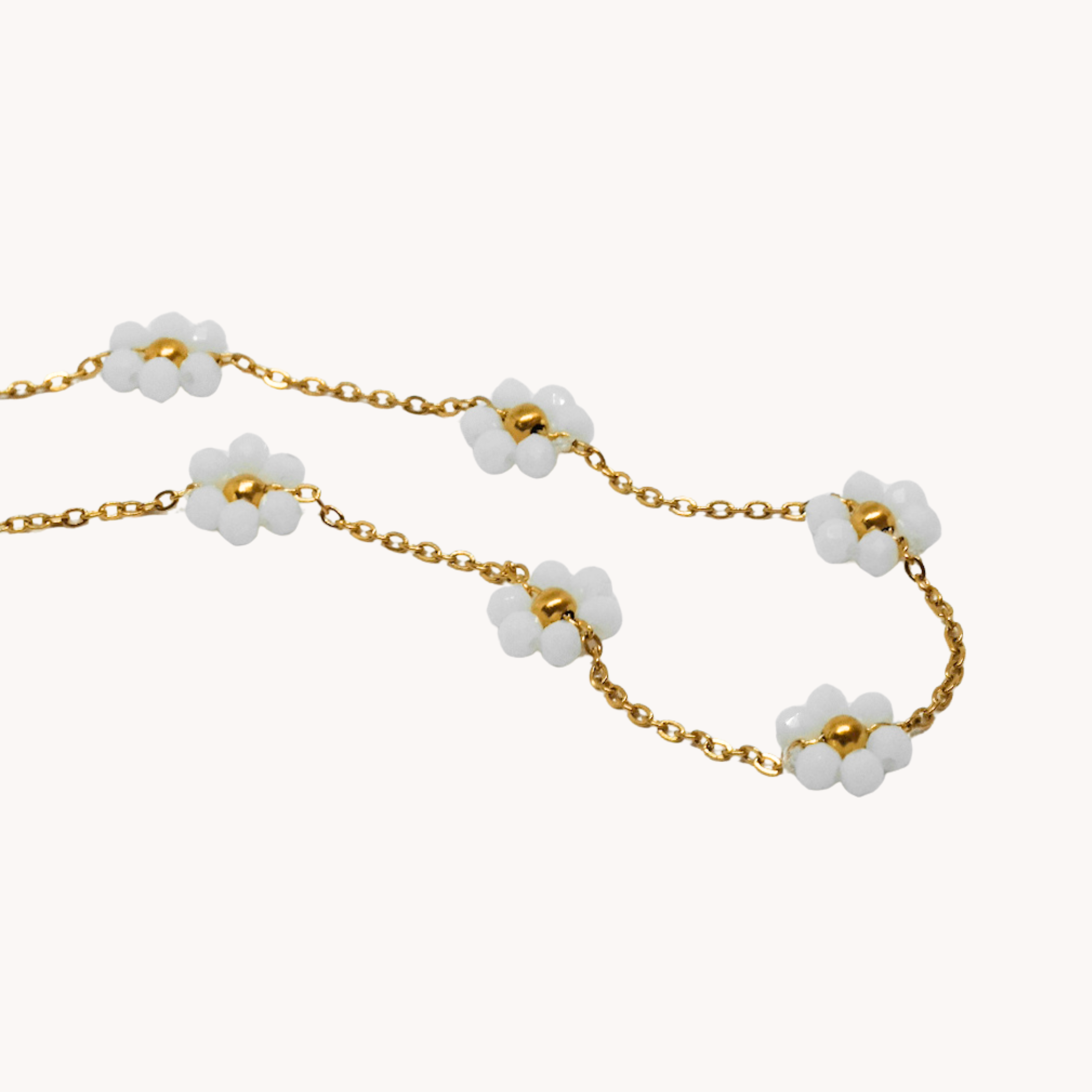 GIROCOLLO MARGHERITE BIANCHE