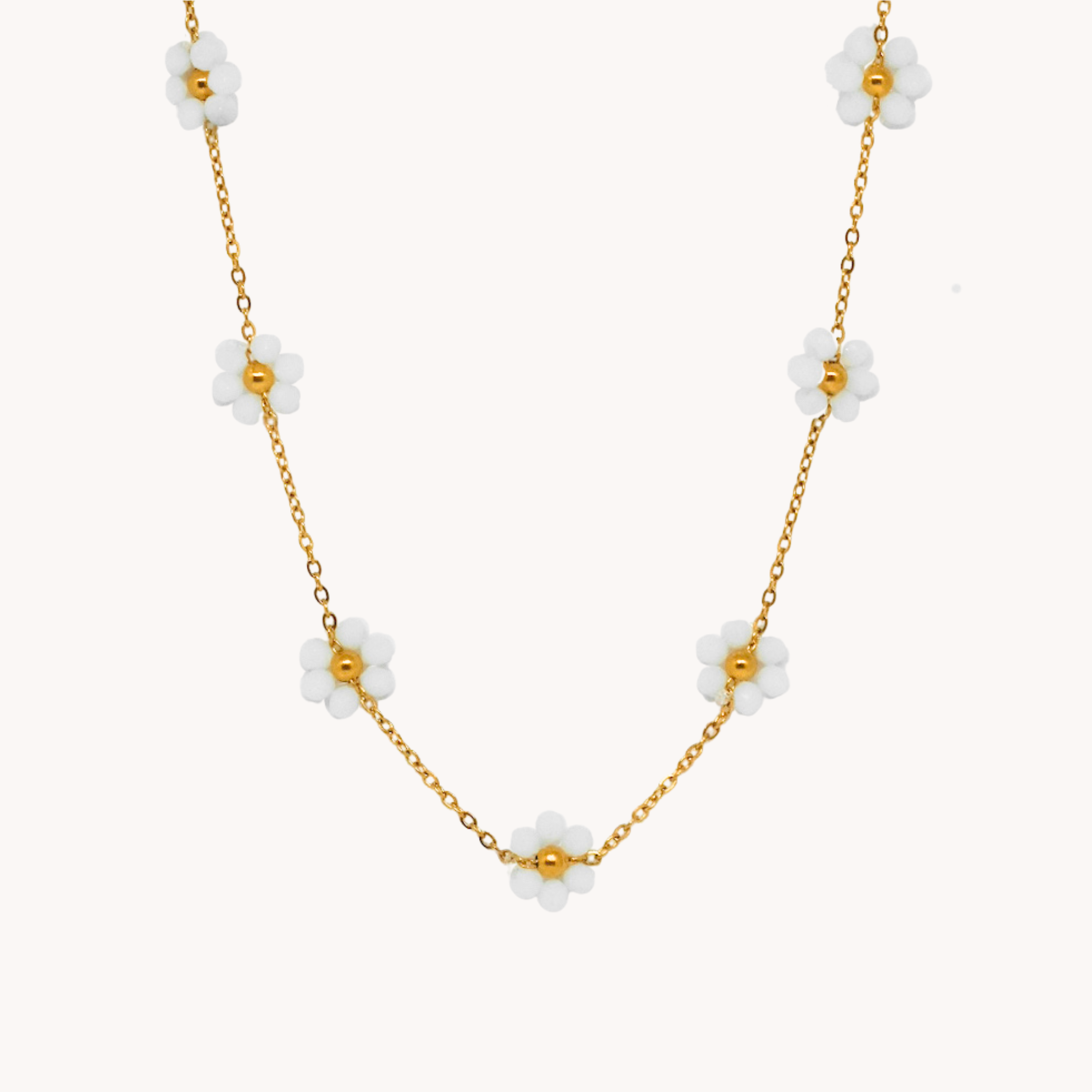 GIROCOLLO MARGHERITE BIANCHE